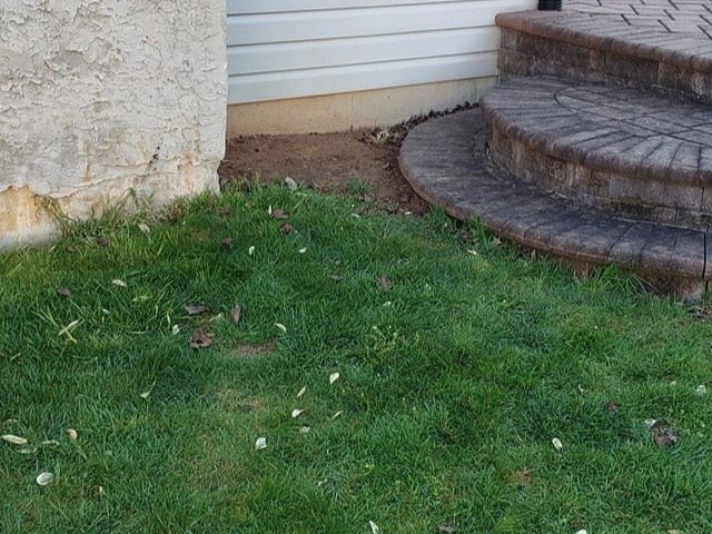 MR. TAPIA LANDSCAPING