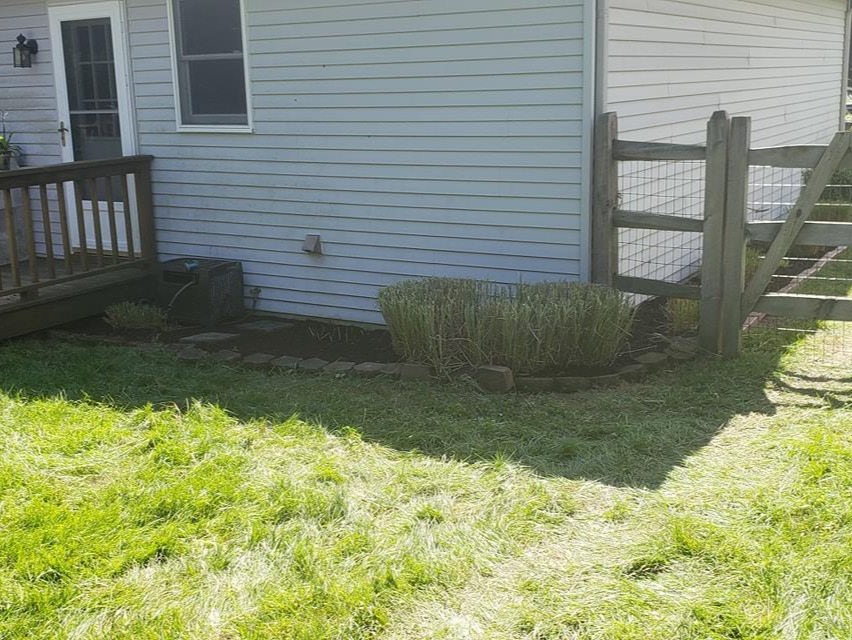 MR. TAPIA LANDSCAPING