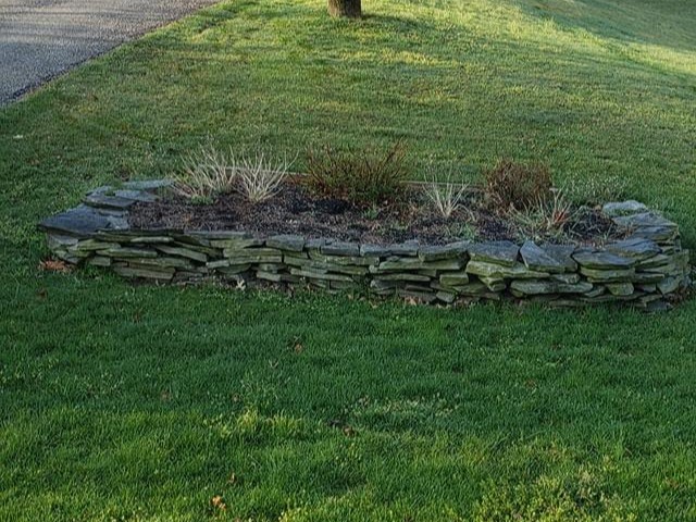 MR. TAPIA LANDSCAPING