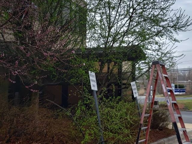 MR. TAPIA LANDSCAPING