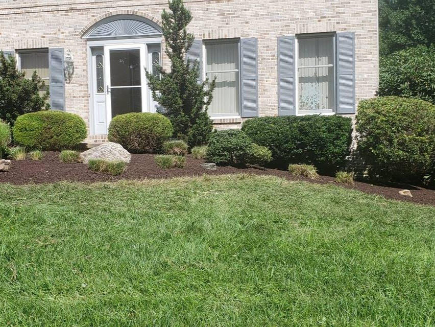 MR. TAPIA LANDSCAPING