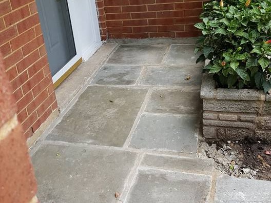 MR. TAPIA LANDSCAPING