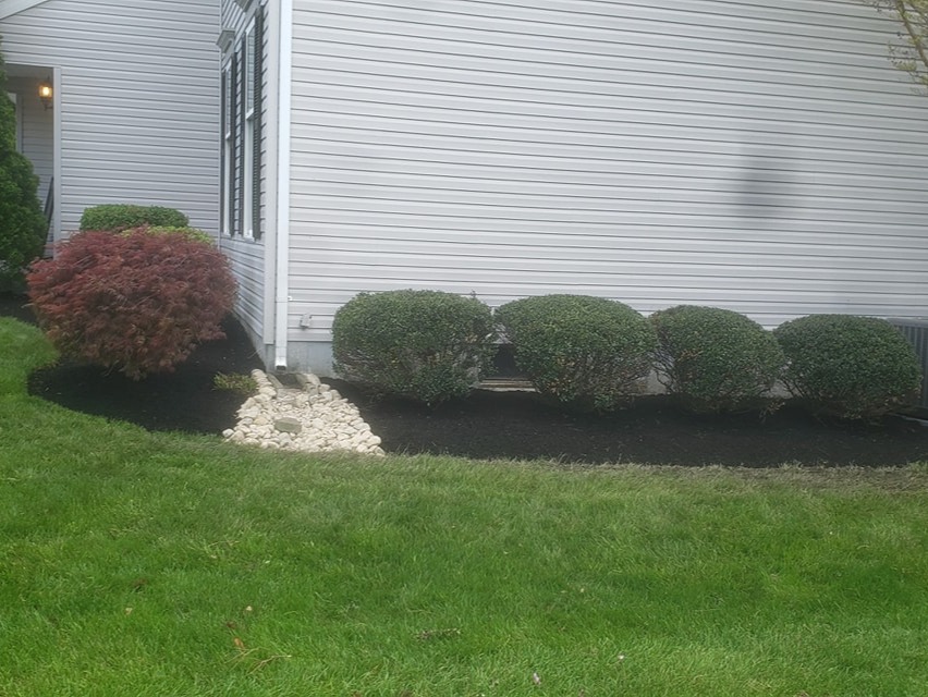 MR. TAPIA LANDSCAPING