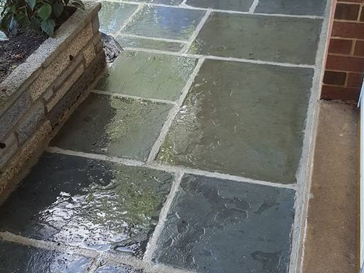 MR. TAPIA LANDSCAPING