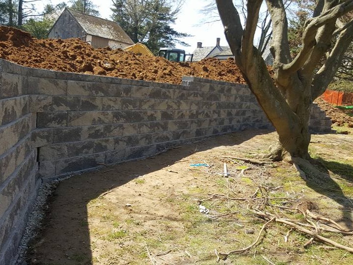 MR. TAPIA LANDSCAPING