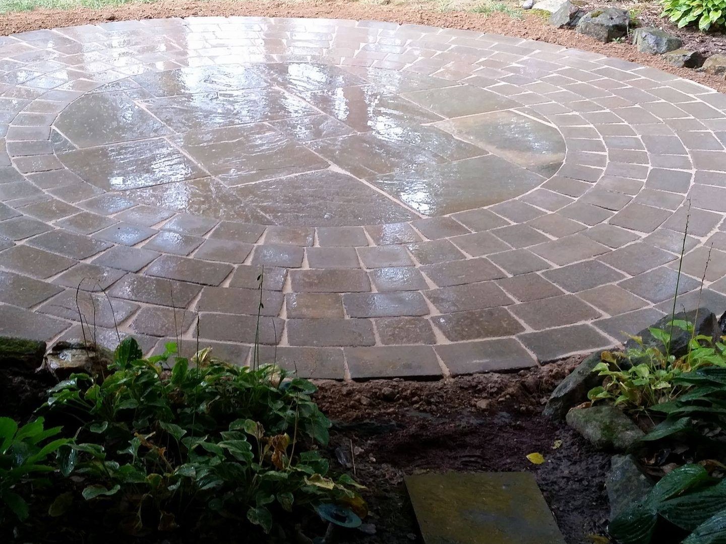 MR. TAPIA LANDSCAPING