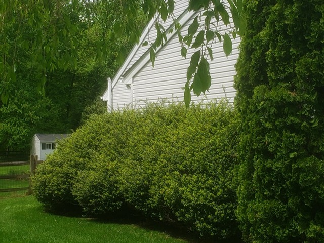 MR. TAPIA LANDSCAPING