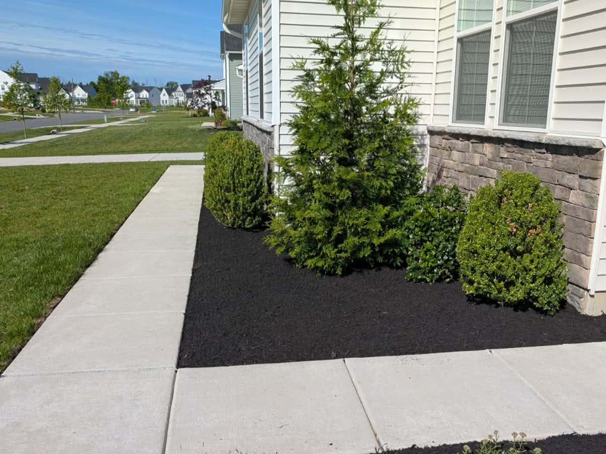 MR. TAPIA LANDSCAPING