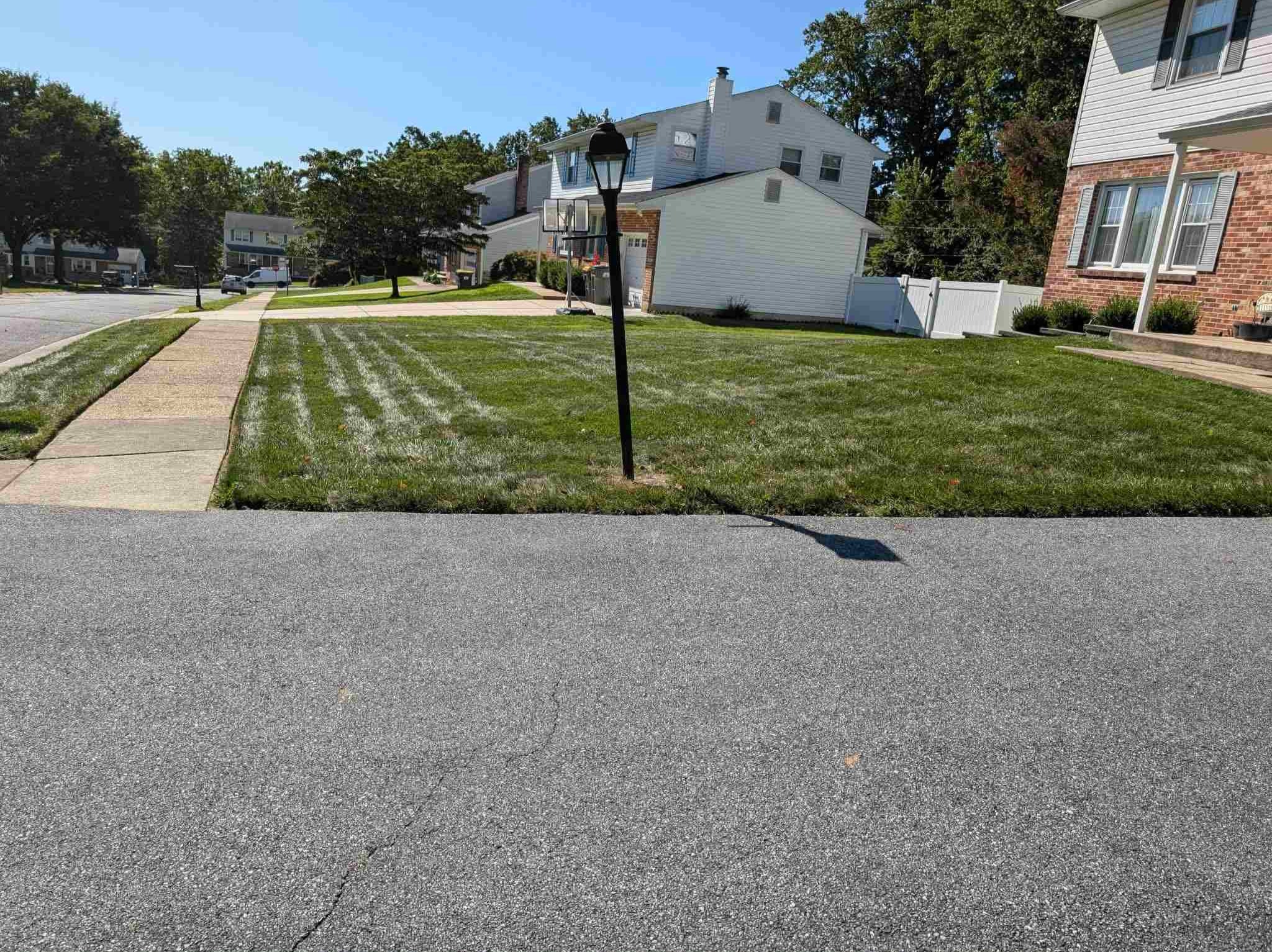 MR. TAPIA LANDSCAPING