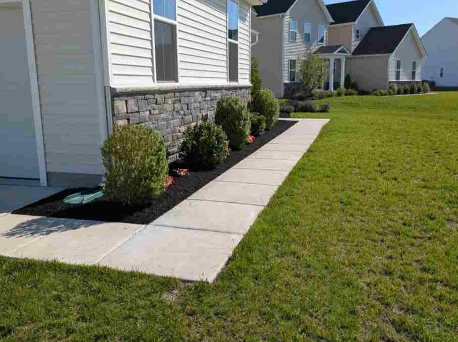 MR. TAPIA LANDSCAPING