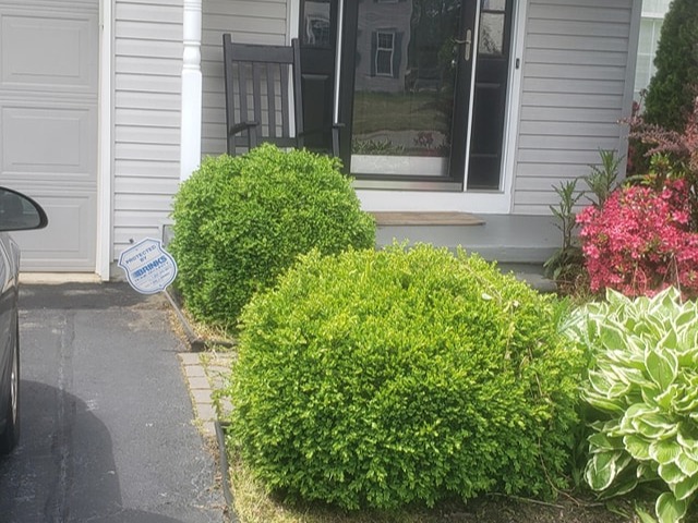 MR. TAPIA LANDSCAPING