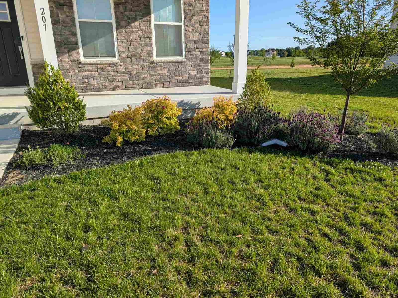 MR. TAPIA LANDSCAPING