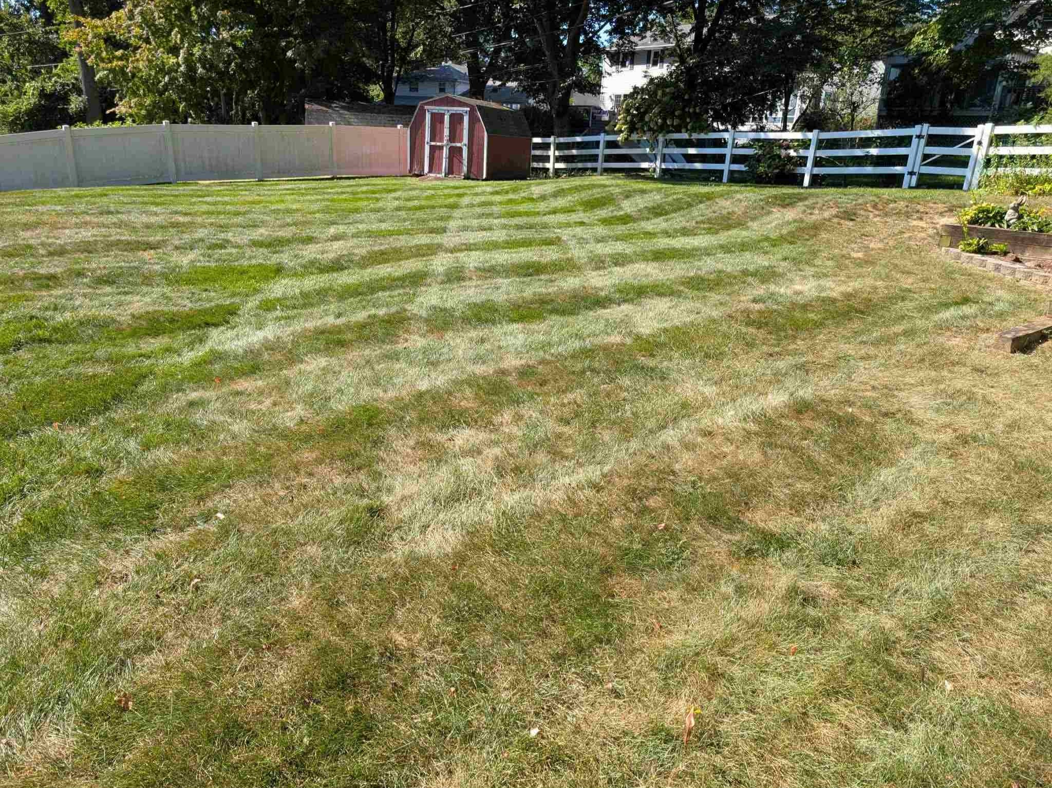 MR. TAPIA LANDSCAPING