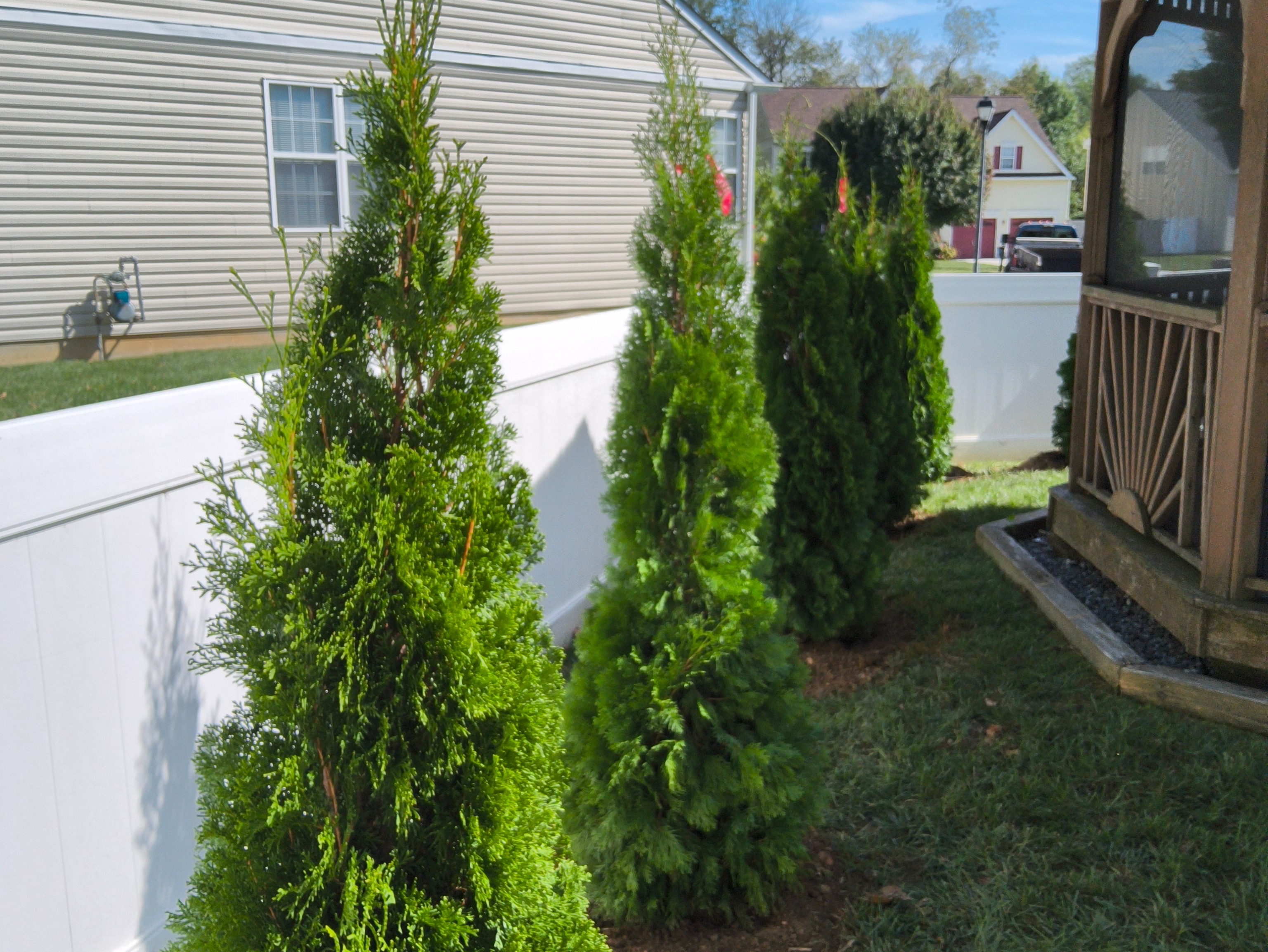 MR. TAPIA LANDSCAPING