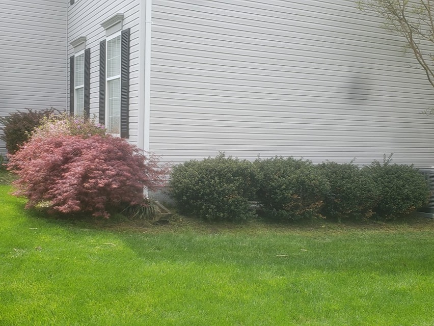 MR. TAPIA LANDSCAPING