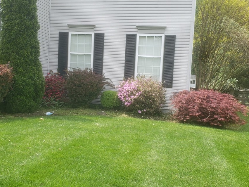 MR. TAPIA LANDSCAPING