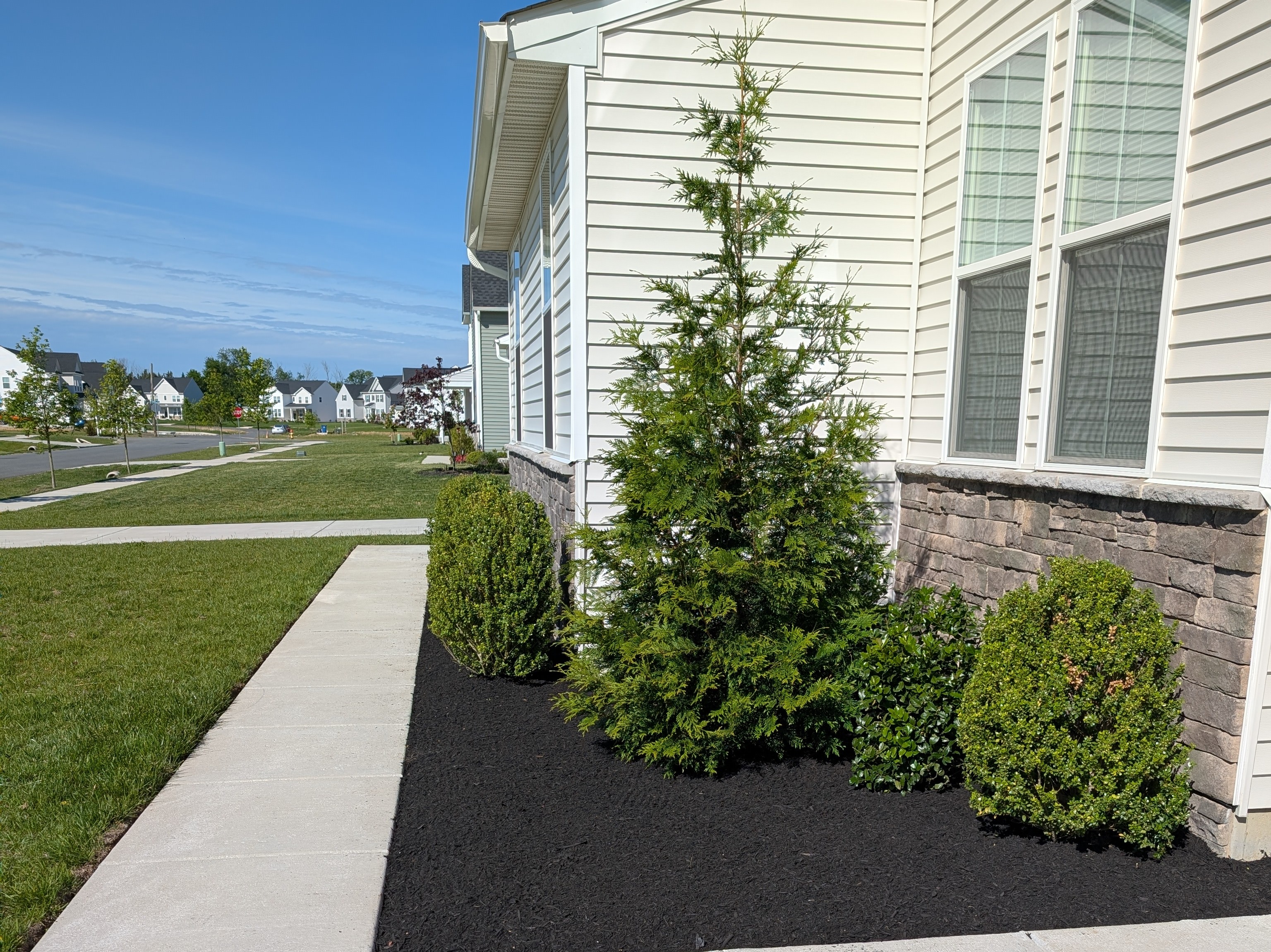 MR. TAPIA LANDSCAPING