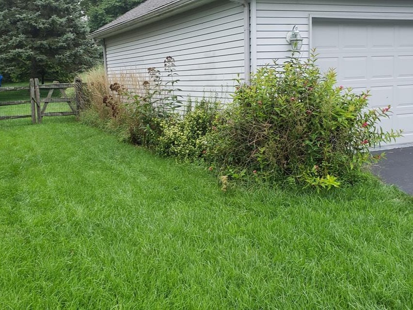 MR. TAPIA LANDSCAPING