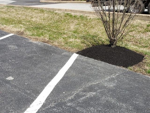 MR. TAPIA LANDSCAPING