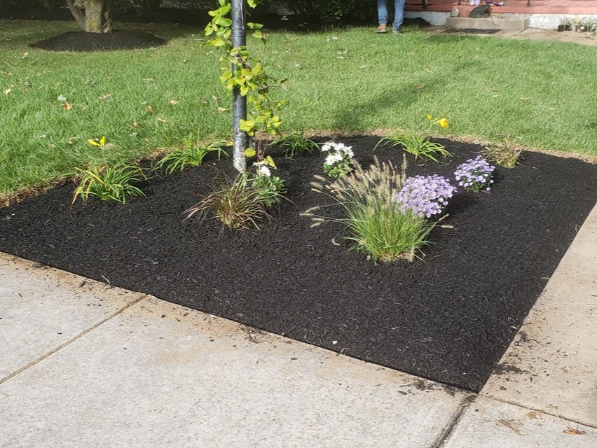 MR. TAPIA LANDSCAPING