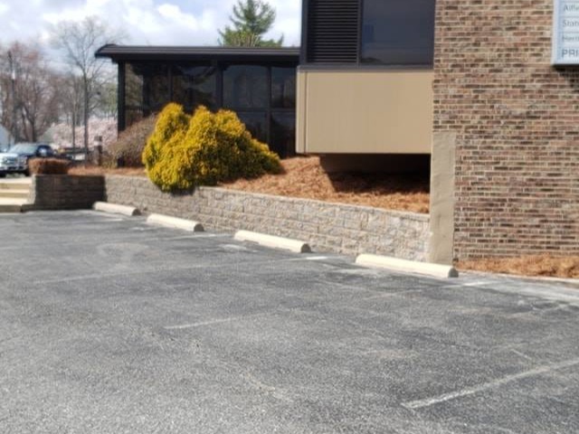 MR. TAPIA LANDSCAPING