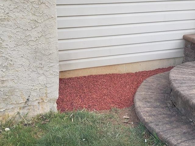 MR. TAPIA LANDSCAPING