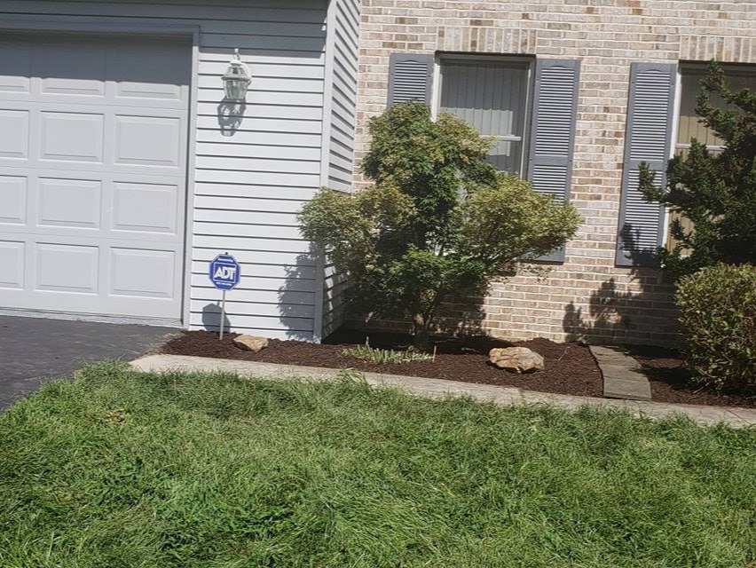 MR. TAPIA LANDSCAPING