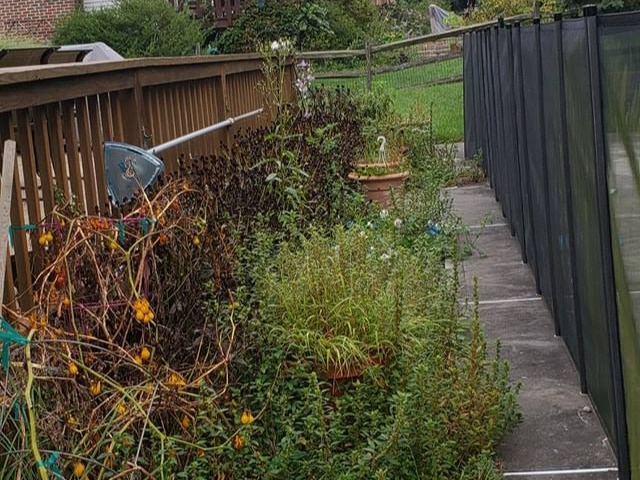 MR. TAPIA LANDSCAPING