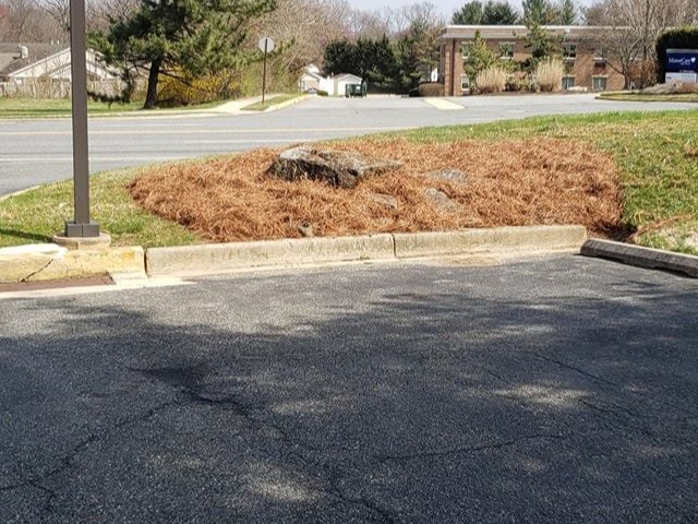 MR. TAPIA LANDSCAPING