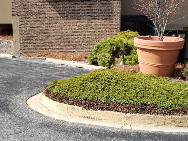 MR. TAPIA LANDSCAPING