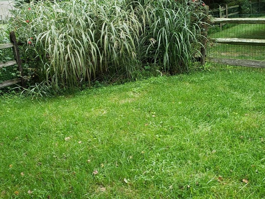 MR. TAPIA LANDSCAPING