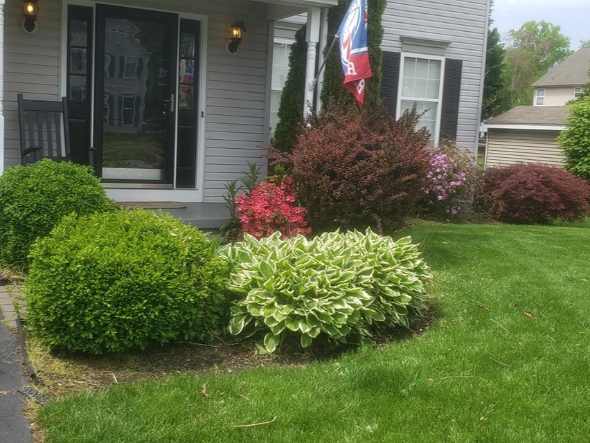 MR. TAPIA LANDSCAPING