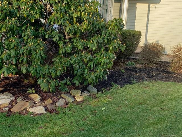 MR. TAPIA LANDSCAPING