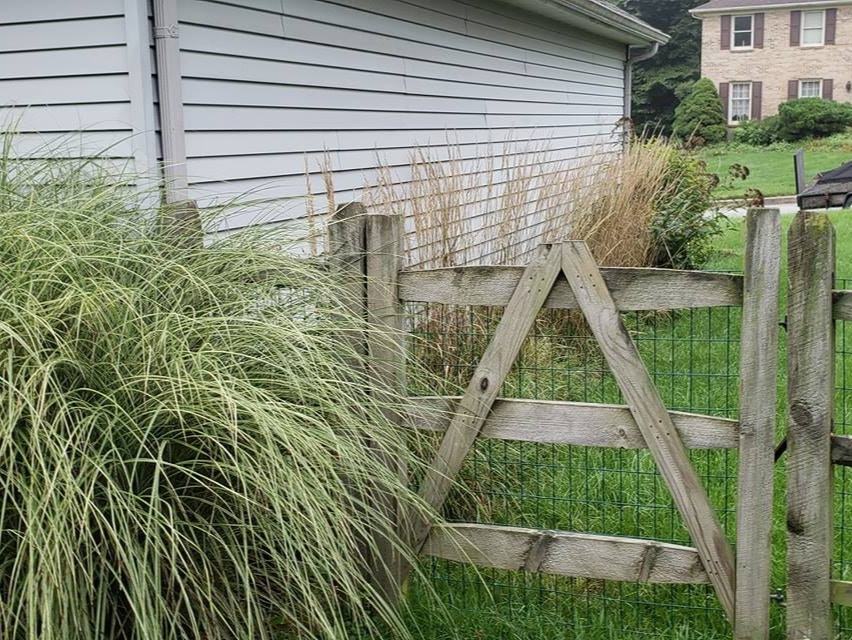 MR. TAPIA LANDSCAPING