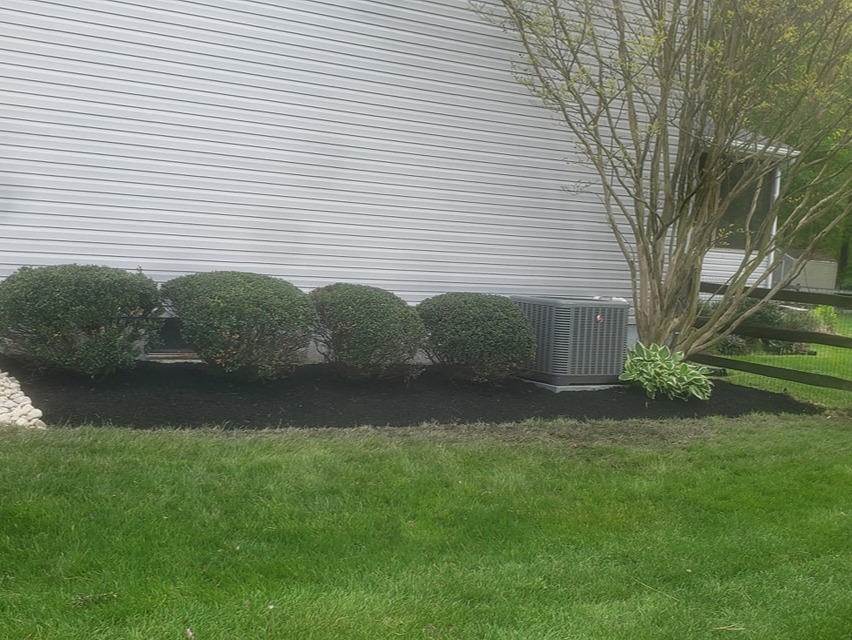 MR. TAPIA LANDSCAPING