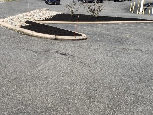 MR. TAPIA LANDSCAPING