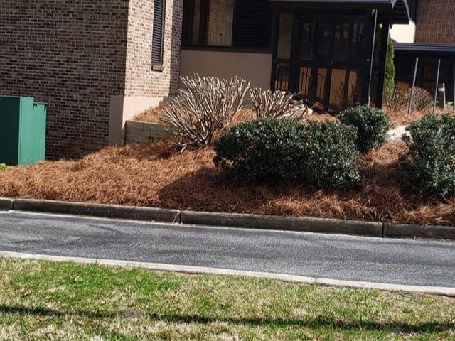 MR. TAPIA LANDSCAPING