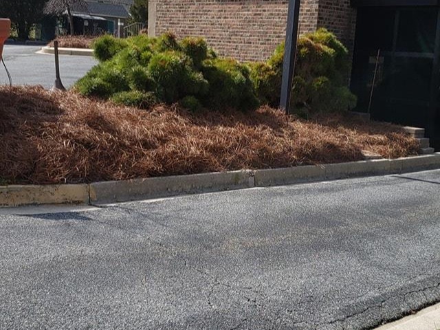 MR. TAPIA LANDSCAPING