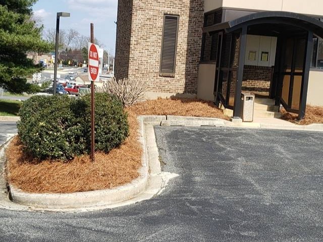 MR. TAPIA LANDSCAPING