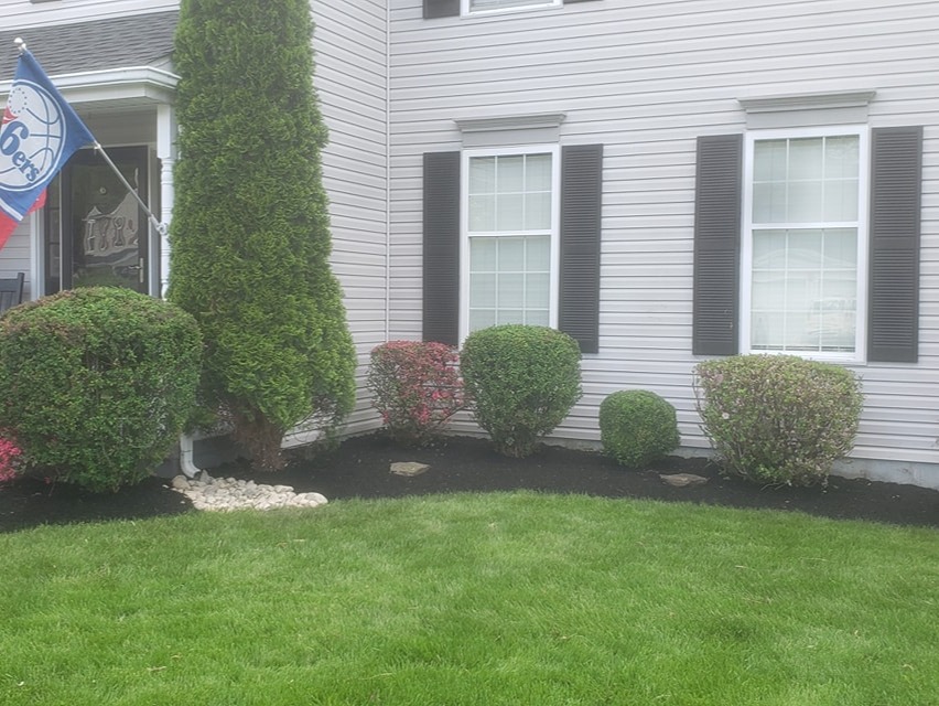 MR. TAPIA LANDSCAPING