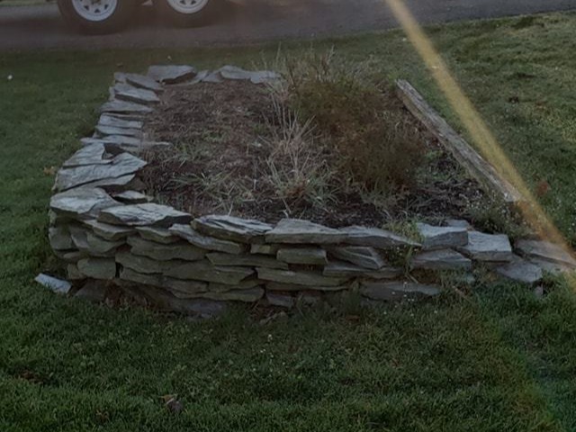 MR. TAPIA LANDSCAPING