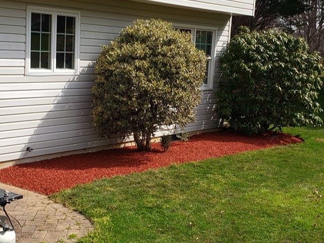 MR. TAPIA LANDSCAPING