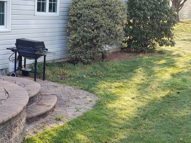 MR. TAPIA LANDSCAPING