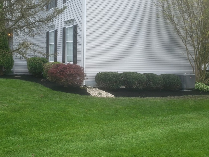 MR. TAPIA LANDSCAPING