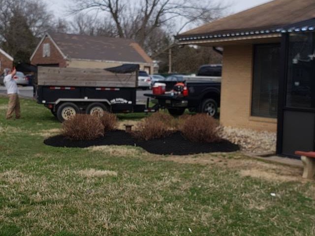 MR. TAPIA LANDSCAPING