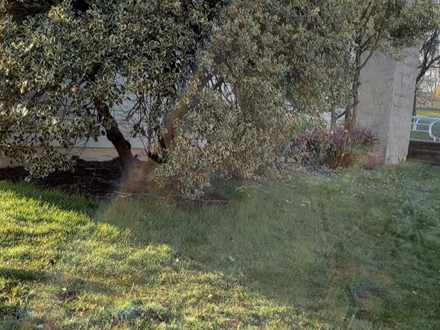 MR. TAPIA LANDSCAPING